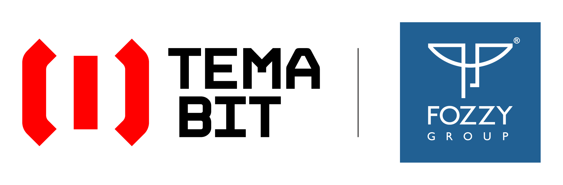 История TemaBit - разработка IT-продуктов для компаний Fozzy Group